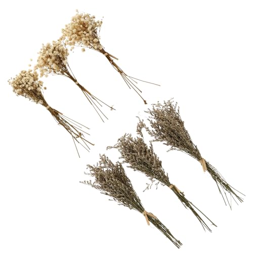 Set de 6 ramos de flores secas Babysbreath para decoración miniatura 1