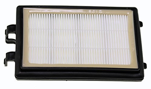 Electrolux 4055359709 HEPA-Filter für Staubsauger