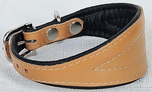 Greyhound Podenco Halsband, Halsumfang 26-32cm, 32-38 cm, 35-41cm, 40-47cm, 40-50cm Leder, Cognac- Schwarz (26-32cm/35 cm)
