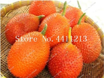 I nuovi 20 pc Bitter Zucca semi di ortaggi per il giardinaggio a Mix di arancia