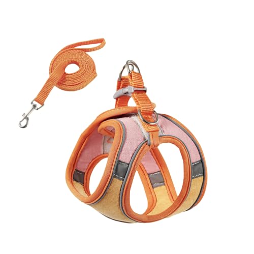 [PB:KS] p n[lX  Ȃ [hZbg ^ ybg xXg ^ U o Lp (IW×sN, M)