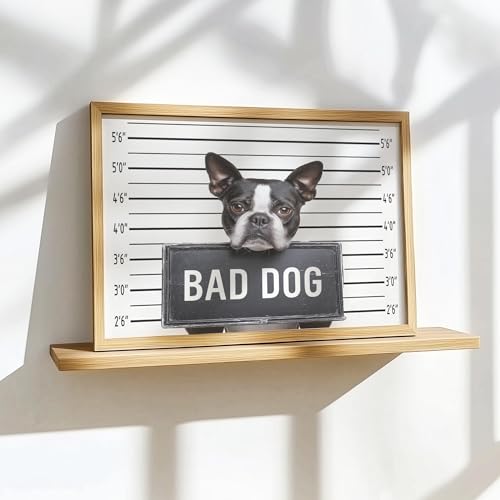 Image of aj decor Boston Terrier Mugshot Wall Art Print Poster, Dog Pet Lover Picture Painting Artwork Bedroom Living Room Office Dining Room 150D (Boston Terrier Mugshot, 11 inch W x 14 inch L, Wood Frame)