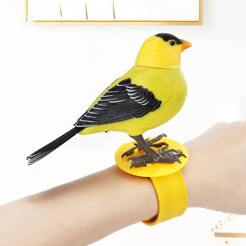 Oiseau parlant, cadeau anniversaire original et figurine enfant interactive
