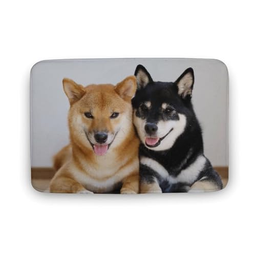  TGh   oX}bg z/唻 փ}bg  O   \ ~ Aj LN^[ @}bg   ʏ