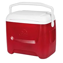 Igloo Island Breeze 28 Qt. Cooler