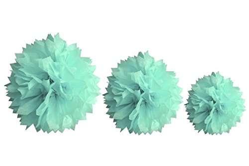 HB - Pompon di carta di seta, set di 3 (20,30 e 40...