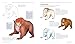 How to Draw Your RPG Character: Armor, Weaponry & Creature Companions – Guide to Drawing Clothing, Armor, Swords, and Dragons for Role-Playing Elves, ... Customize Your Fantasy Character Step by Step