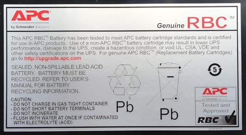 UPS power backup system