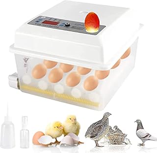 YaeCCC Egg Incubator, Automatic Egg Hatching Incubator Temperature Control Humidity Display for Hatching Chicken Duck Quail Bird Eggs (18 Eggs)
