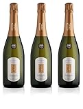 Adami Dei Casel - Valdobbiadene Prosecco Superiore Docg Extra Dry - Elegante e Raffinato – 11% vol. 0,75l - 3 bottiglie