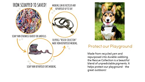 OllyDog Rescue Verstellbares Hundehalsband mit stabiler Schnalle, leichtes Trainingshalsband für große, mittelgroße und kleine Hunde (Mittel, Prismgrün)