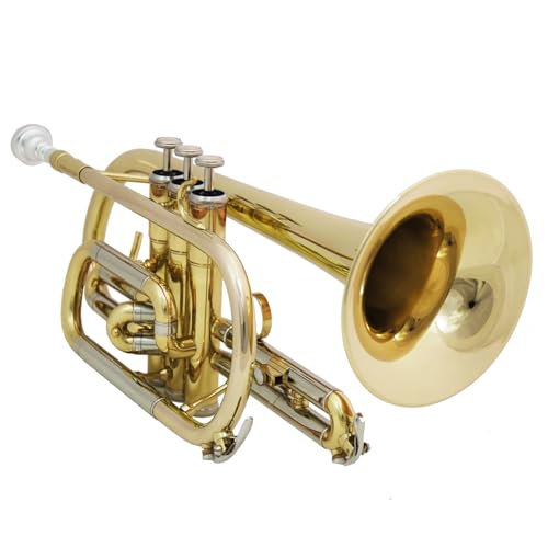Cornet TCR-175 en laiton de qualité supérieure avec coulisses en argent neuf et étui