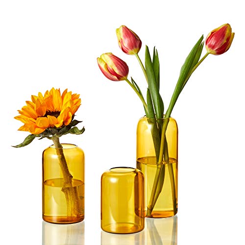 Image of ZENS Glass Bud Vase Set of 3, Hand Blown Small Amber Bud Vases for Flower Decorative, Modern Cylinder Clear Glass Vase for Wedding,Living Room Home Decor