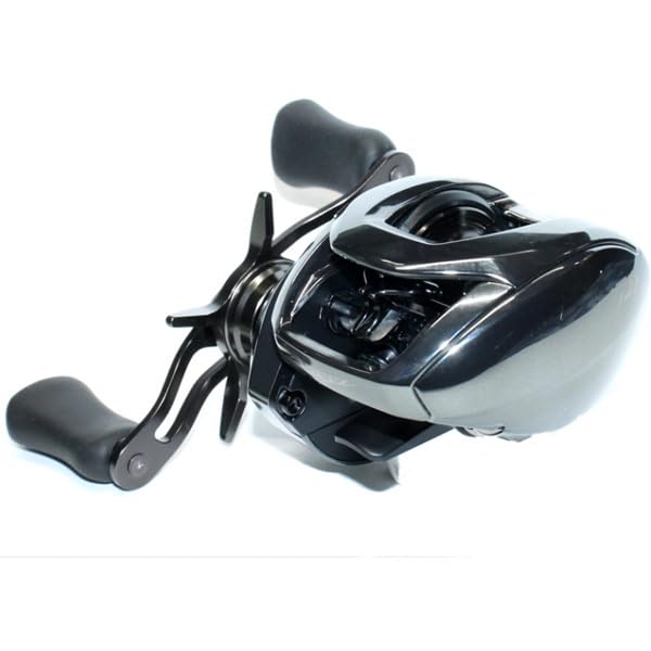Daiwa SV TW 100XH Bath Bait Reel 24STEEZ (2024 Model) : Amazon.ca