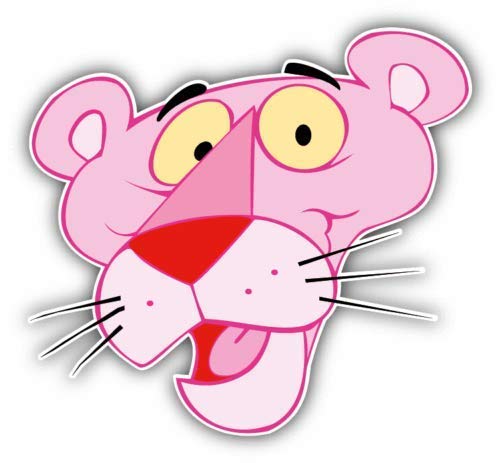 ピンクパンサー ピンクパンサー ピンクパンサー Just in and ready to ride #kawasaki