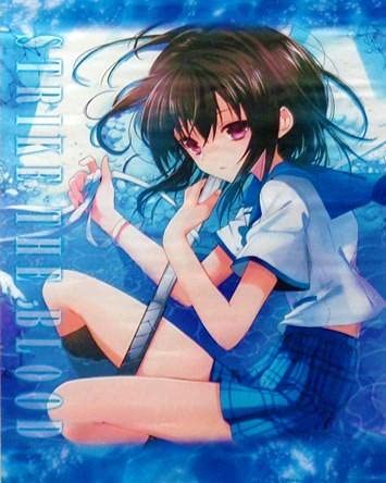 ストライク・ザ・ブラッド 姫柊雪菜 すりすりタペストリー Amazon.co.jp: ストライク・ザ・ブラッド 姫柊雪菜 Wスエード