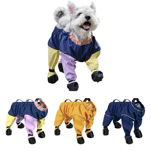 yhhzpCu[c 4 ~ߒt ߉\xg MXt یEh~ 􂦂 ^`^p UEnCLOAEghAΉ (~bNXJ[,M)