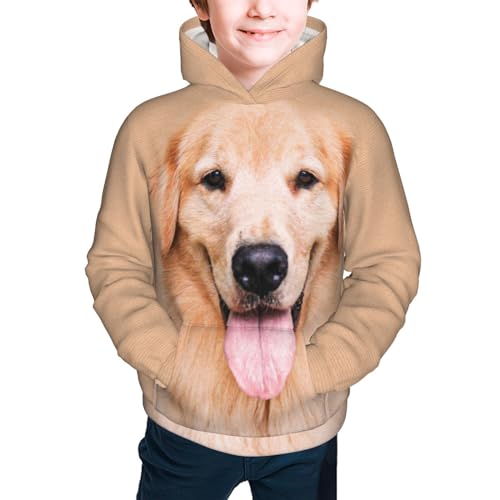 Golden Retriever Aesthetics Boy, Girls Sports Shirt Youth Pullover Fashion Hooded Sweatshirt