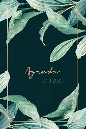 Agenda 2019-2020: Agenda Settimanale 2019 - 2020 | Agenda Giornaliera - Agosto 2019 a Dicembre 2020 - Journalier, Agende, Office e Calendario 2019/2020 | Pianifica i tuoi appuntamenti quotidiani