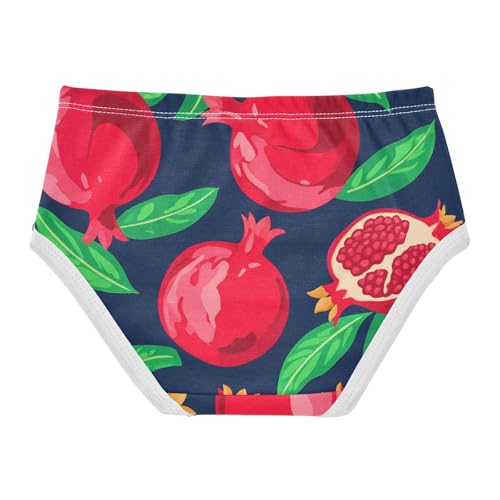 Girls Underwear Toddler 2t Cotton Panties Little Girl Fun Print Briefs Kids Undies Red Pomegranates Green Dark Blue2