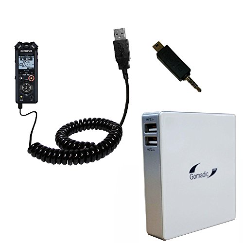 Potente Caricabatterie Ricaricabile ai Polimeri di...