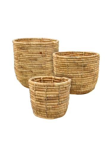 Serene Spaces Living SSLHL17570LMSSFS Set Of 3 Eco-Friendly Water Hyacinth Cache Pot: Stylish Plant Holder cover