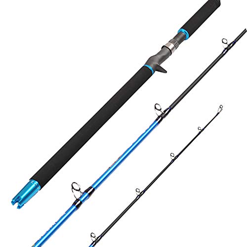 best jigging rod and reel combo