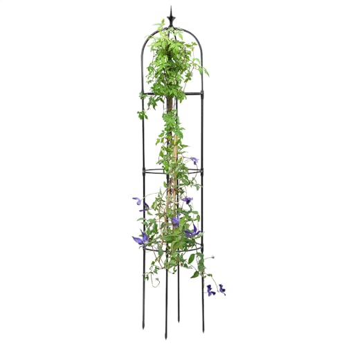 Obelisco da giardino | Obelisco in metallo per piante rampicanti - di supporto per giardinaggio resistente, supporto antiruggine per rose da esterno per piante rampicanti in vaso