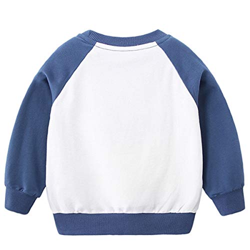 Little Boys Sweatshirts Pullover Cotton Baby Cotton Casual Crewneck Long Sleeve Toddler Top T-Shirt Outdoor2
