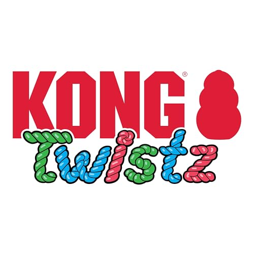Kong Twistz Ring Dog Toy Small Red Green Blue
