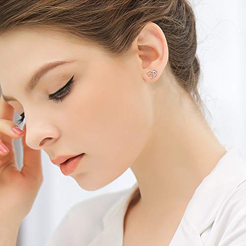 Dolphin Earrings Gifts for Women 925 Sterling Silver Gold Plated Eternal Love Heart Double Dolphin Stud Earrings Christmas Gifts for Women Girls (Rose gold dolphin earrings)2