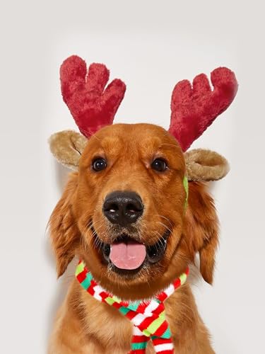 Disfraz para perros con diadema de árbol navideño rojo miniatura 6