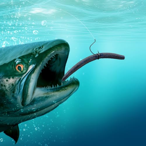 Image of Senko Bait Soft Plastic Lures 5 inch Senkos 24 Pcs for Wacky Rig Freshwater Fishing Green Pumpkin senko with Black Flake