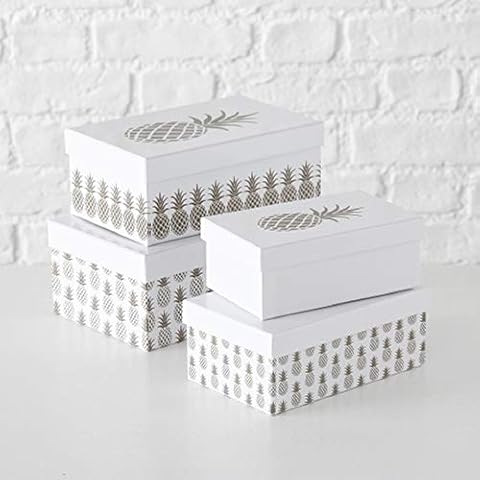 Paper Collection Juego de 4 Cubos de Almacenaje con Tapa Piña Cover