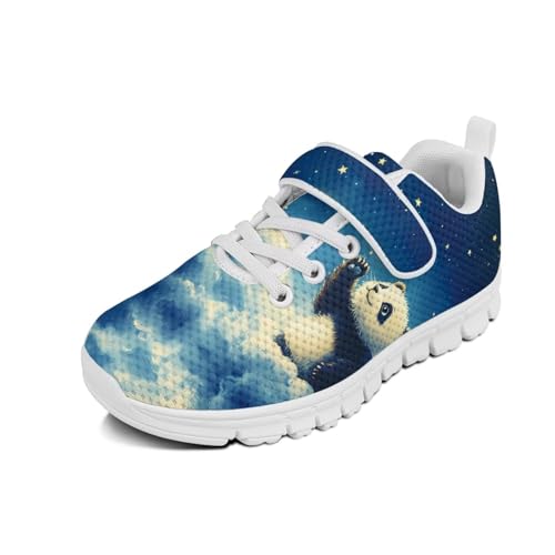 Little Kid Boys Shoes Non Slip Lightweight Breathable Comfortable Sport Athletic Running Tennis Sneakers Panda Galaxy Sky Pattern
