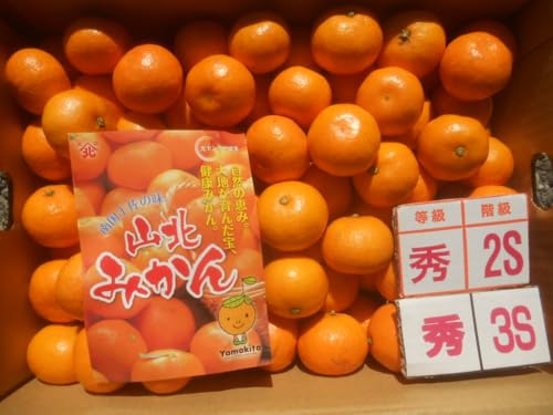 mY Rk݂iO[j QS,RSTCY TKg TCY