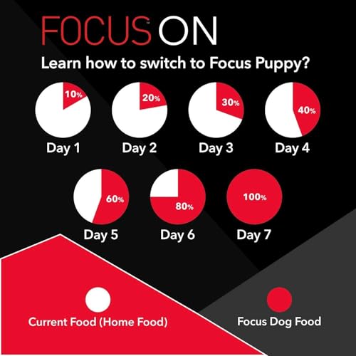 Image of Focus Adult Dog Food 6 Kg Pack of 2, 3Kg Each | Premium High-Protein Formula with Real Chicken & Omega-3 & 6 | Supports Muscle Growth, Strong Bones, Immunity & Digestion