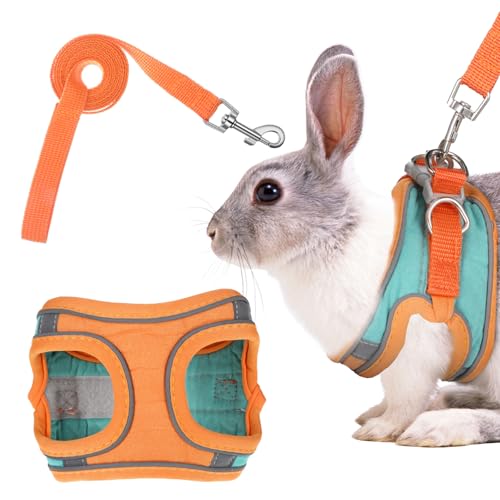 Katzengeschirr mit Leine Ausbruchsicher, Verstellbares 9,4-11 Zoll Kaninchen Leine, Softgeschirr für Katze Brustgeschirr, Geeignet für Kaninchen und...