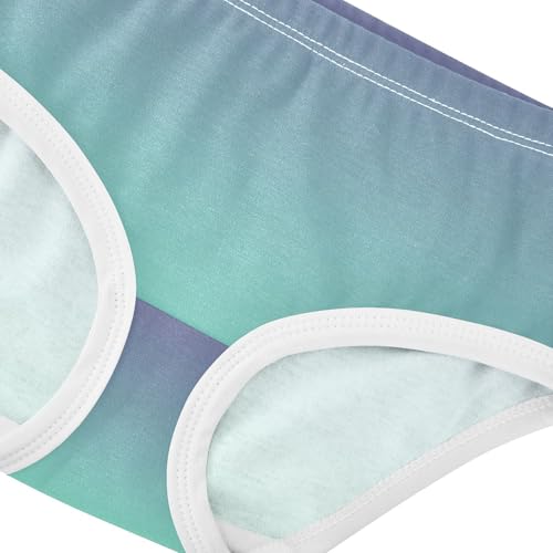 Joisal Toddler Girls Underwear 2t Cotton Cute Panties Girl Stylish Briefs Undies Kids Gradient Violet Aquamarine Ombre4
