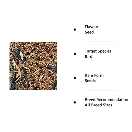 RS-Birds-Grains-Pet-Loves-Mix-Seed-Bird-Food-Seed-Food-for-Birds-of-All-Life-Stages-1-KG