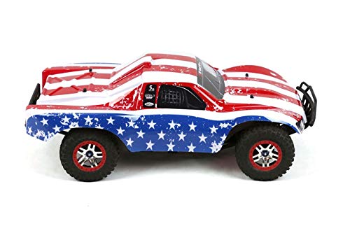 SummitLink Compatible Custom Body Flag Strip Style Replacement SS-FP-02