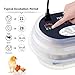 HBlife Digital Egg Incubator for Hatching 9-12 Chicken, Quail and Duck Eggs, with Fully Automatic Egg Turning and Temperature Display, Hatcher for Turkeys, Birds, Parrots and Poultry