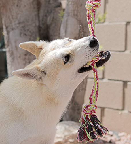 Pacific Pups Products supporting PacificPupRescue.com - 18 Piece Dog Toy Set with Dog Chew Toys, Rope Toys for Dogs, Plush Dog Toys and Dog Treat Dispenser Ball - Supports Non-Profit Dog Rescue