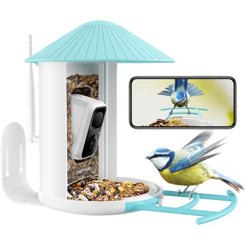 NETVUE Birdfy Mangeoire à Oiseaux avec Caméra, Observez Oiseaux sur APP Téléphone en Temps Réel, Notification Instantanée, Capture Auto d’Images/Vidéos, Mangeoire Oiseaux Camera Extérieure sans Fil