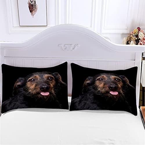 AOYNP Bettwäsche 135x200 Mischlingshund 3D Druck Weiche Mikrofaser Bettwäsche Set Kinder Jungen Mädchen Kawaii Haustiere Welpe Bettbezüge mit ReißVerschluss und 2 Kissenbezug 80x80cm