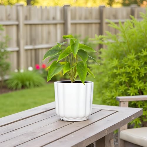 Image of Lasaki Flona White HT Ceramic Pots for Indoor Plants, Planters,gamla,Outdoor,Balcony,Home,Round,Garden, Office Decor,Succulent(H - 11.5 X D - 12.5 cm)(Plants not Included)