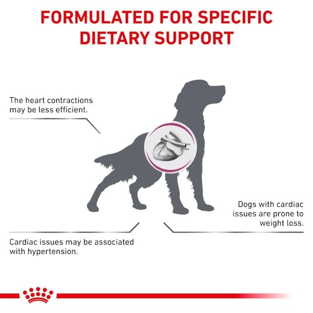 Royal Canin Veterinary Cardiac | 12 x 200 g | Diät - Alleinfuttermittel für ausgewachsene Hunde | Kann zur Unterstützung der Herzfunktion bei chronischer Herzinsuffizienz beitragen | Mousse