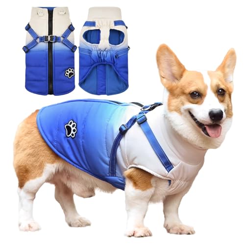 Savlot Hundejacken für den Winter Wasserdichter Hundemantel Winter Warme Jacke Welpen Winter Warme Jacke Kleines Hundejacke Outfit für kleine mittel Hunde(XL, Blau)