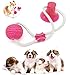 Nifogo Pet Molar Bite Toy,Juguete Multifuncional para mordedura de Molar Juguete con Ventosa Juguetes para morder para Perros Juguetes para Perros Molar para Mascotas (Rojo,1 pcs)