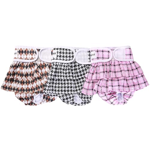 Avont p}i[xg 3 Xp  ėp\ z EFXgTCY\